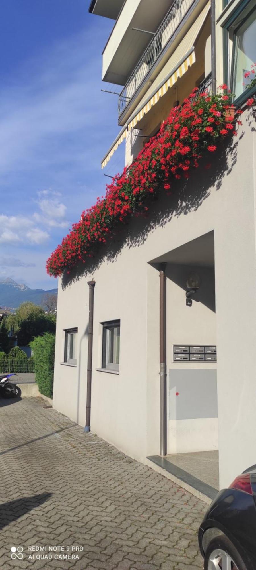 Casa Lina Tirano Lägenhet Exteriör bild